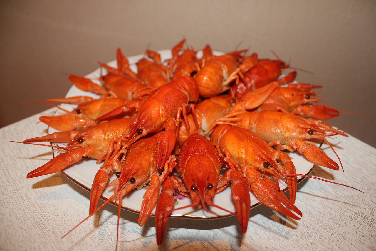 crayfish-3631928_1280